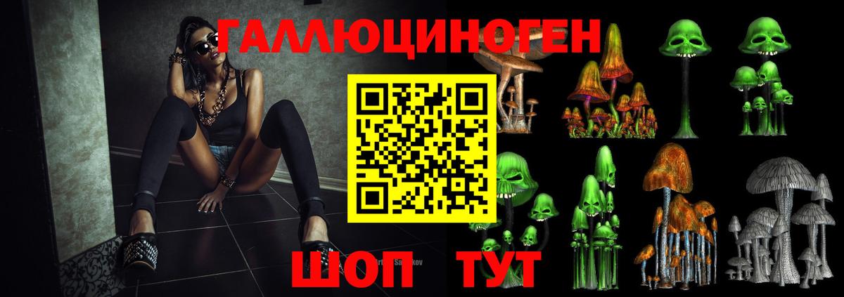 Галлюциногенные грибы Psilocybine cubensis  Галлюциногенные грибы мицелий  Вход с VPN  Новокубанск 